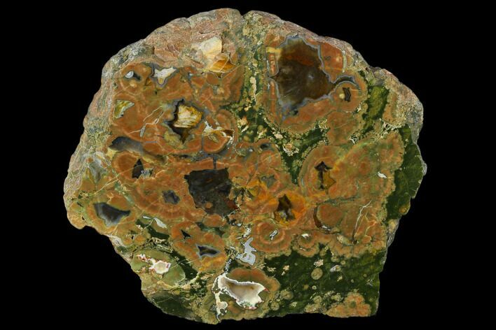 Polished Rainforest Jasper (Rhyolite) Section - Australia #130407